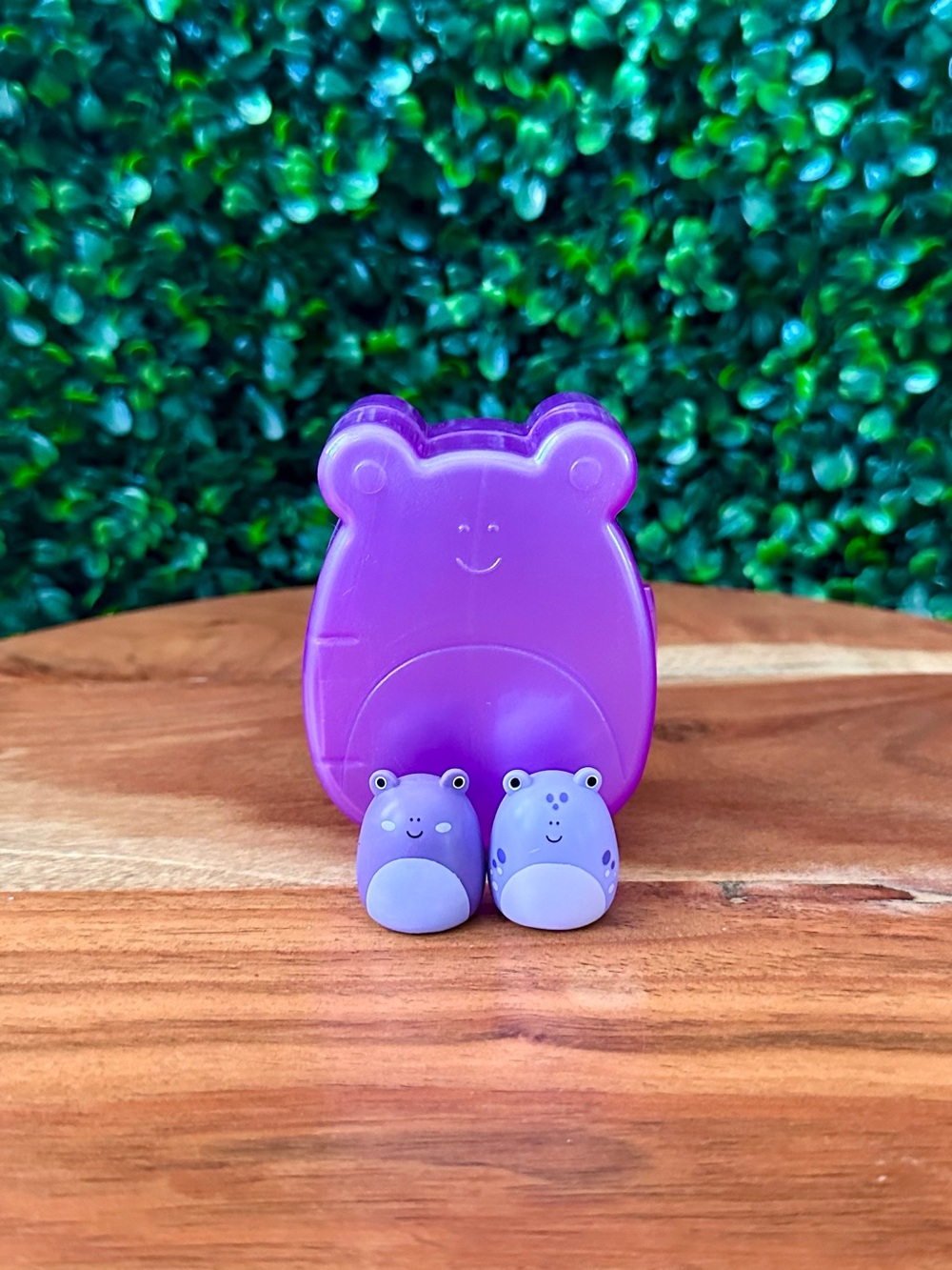 Squish-a-longs Purple Frog & Tadpole Bundle